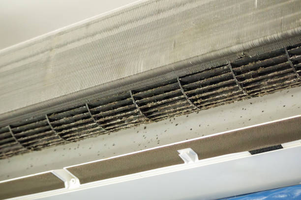 Best Best Air Duct Cleaning Company  in Paris, MO